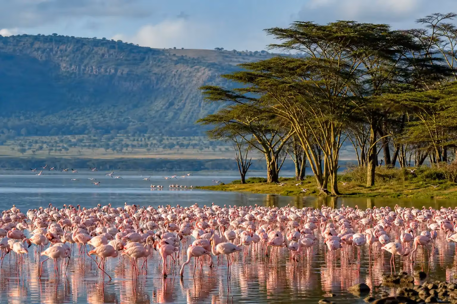Lake Nakuru