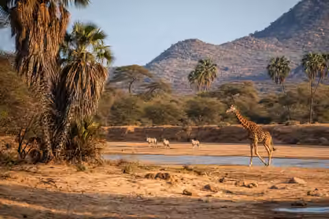 Samburu National Reserve