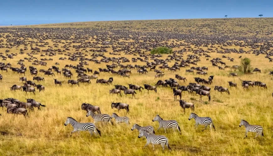 Great Migration