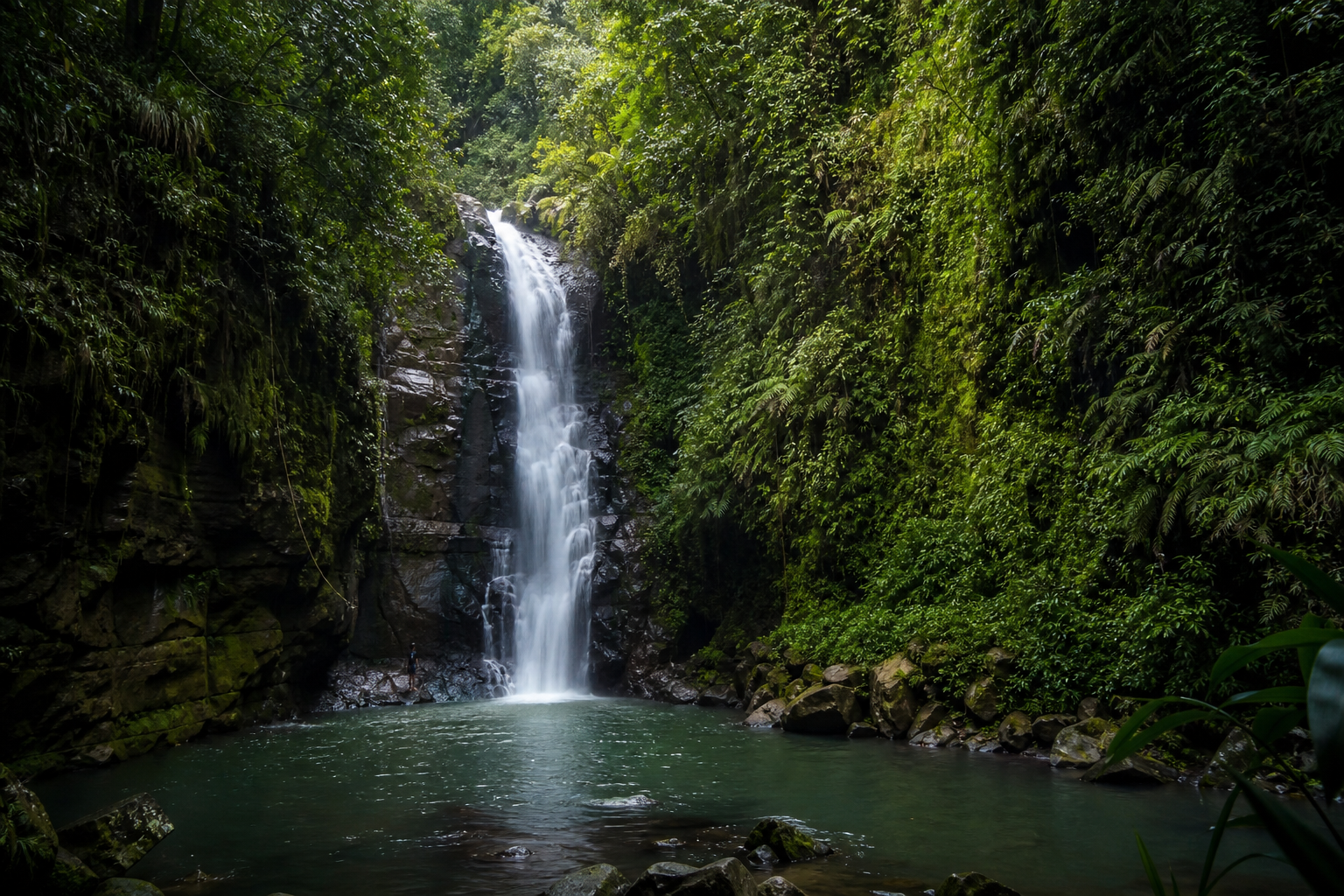 Kakamega Forest