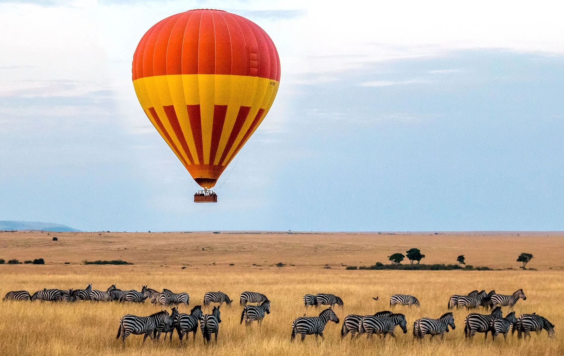Hot Air Balloon Safari