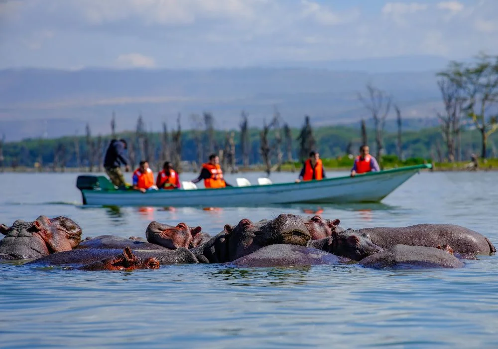Lake Naivasha Boat Safari